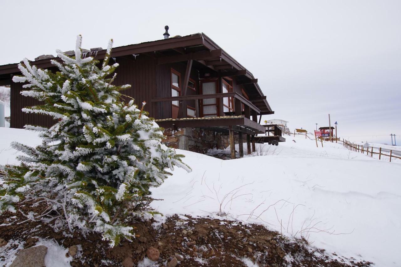 El Colorado Bungalows Bagian luar foto